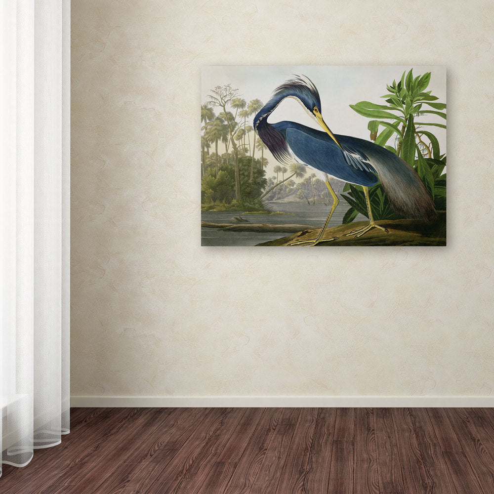 The Curated Nomad John James Audubon Leinwandbild „Louisiana Heron“