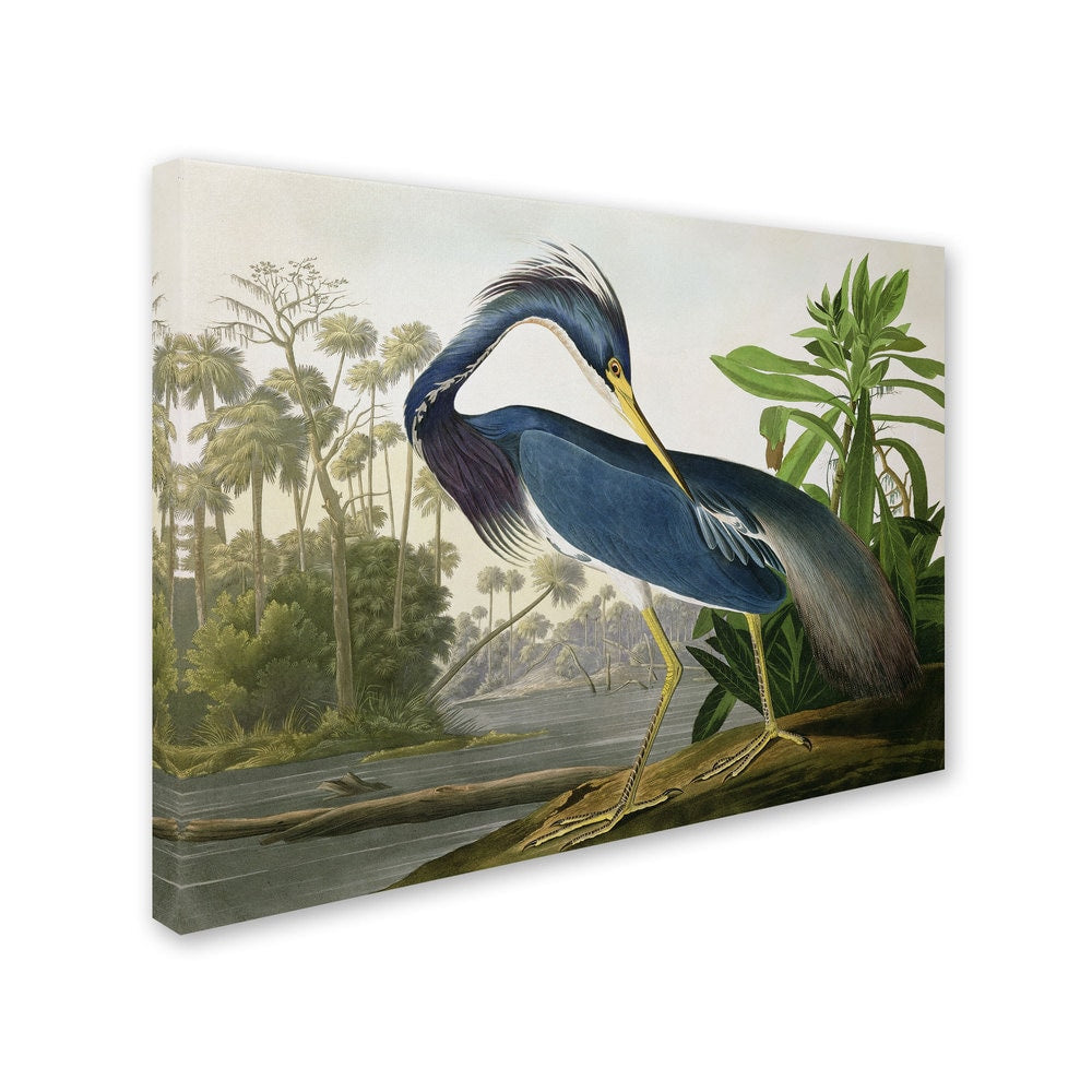 The Curated Nomad John James Audubon Leinwandbild „Louisiana Heron“