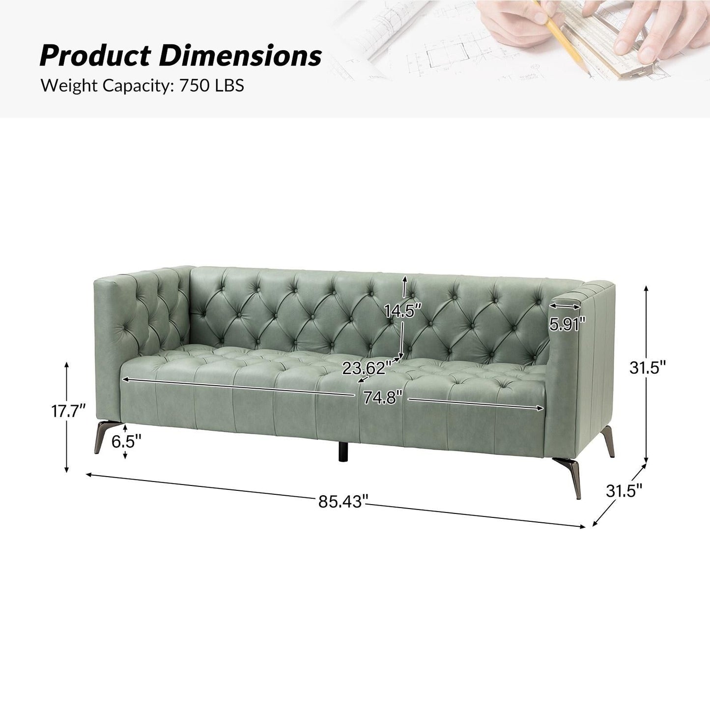 Nestor Transitional Genuine Leather Sofa with Metal Legs and Tufted Back