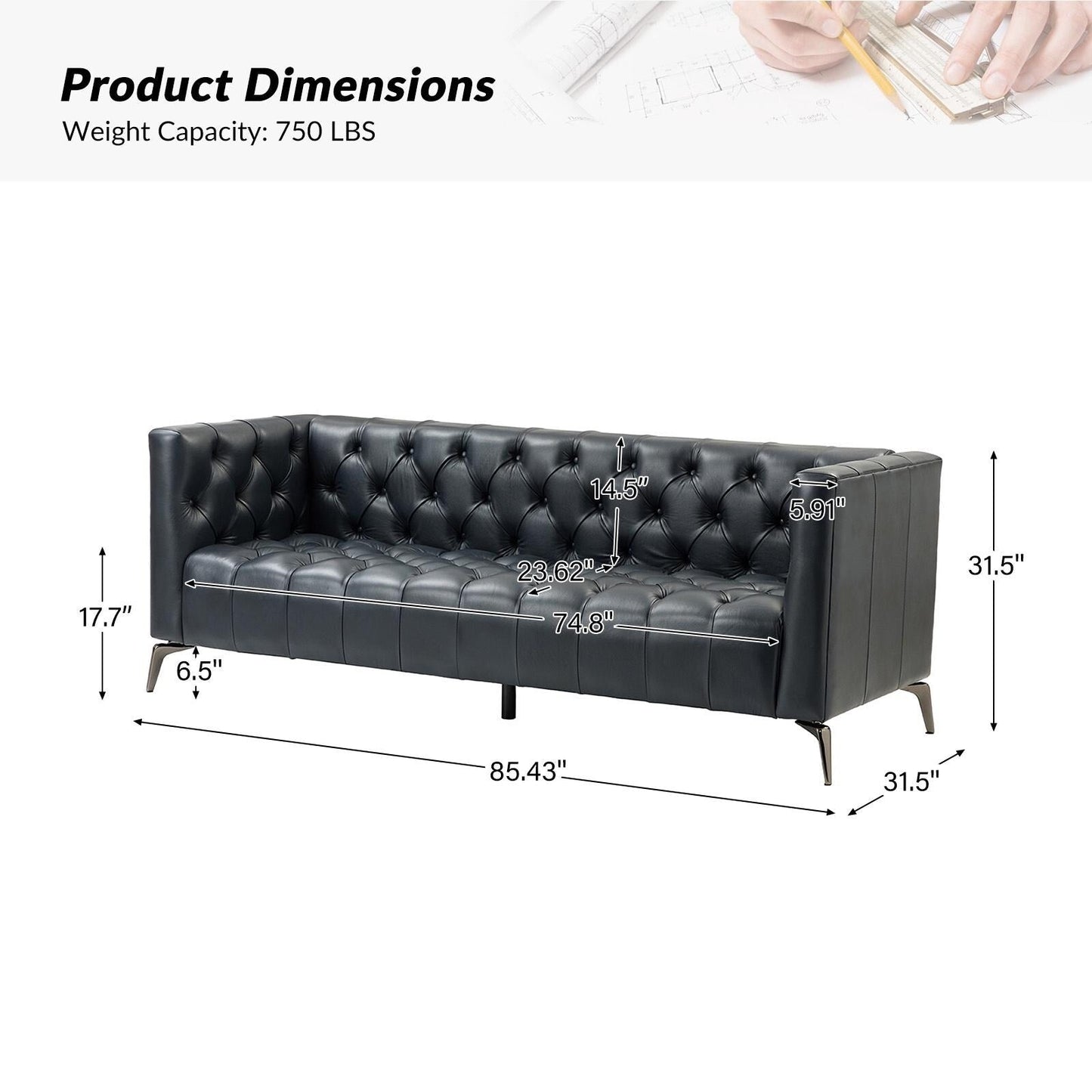 Nestor Transitional Genuine Leather Sofa with Metal Legs and Tufted Back