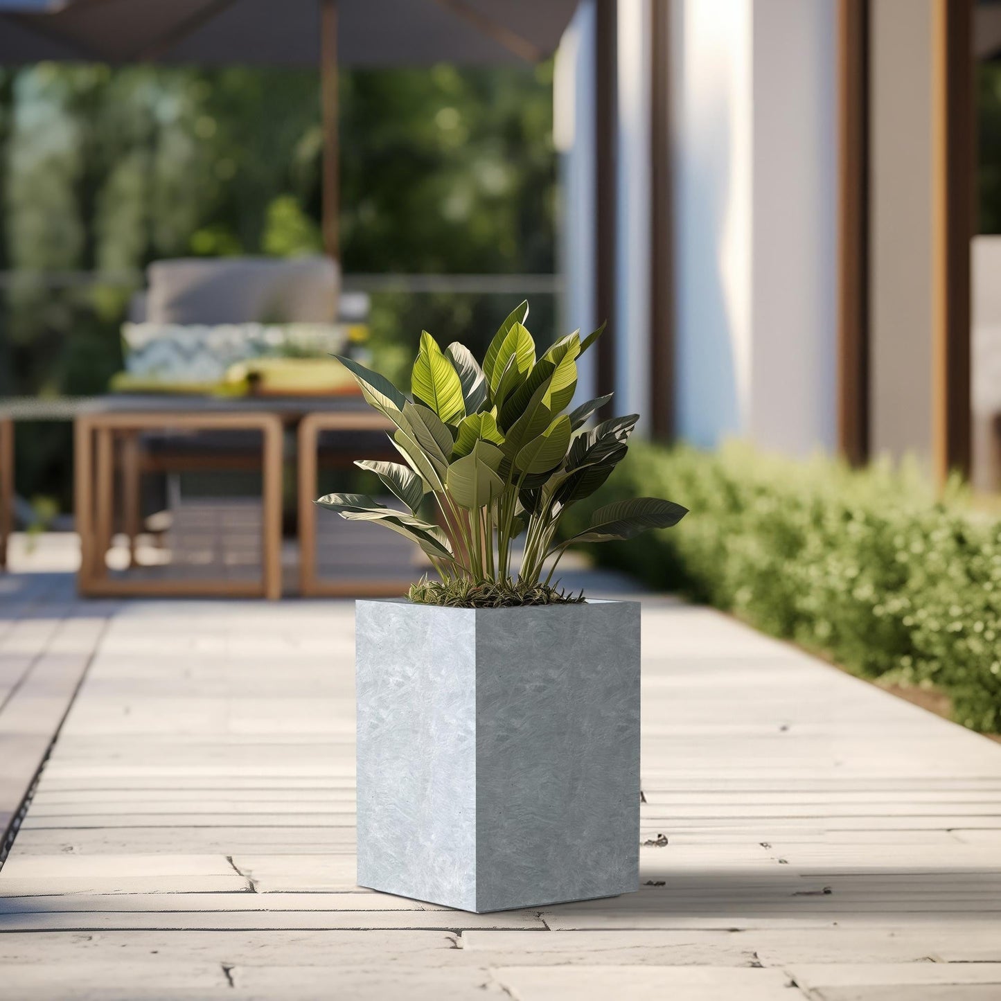 Hohe rechteckige Pflanzkästen aus Beton / Große Blumenkübel für drinnen und draußen