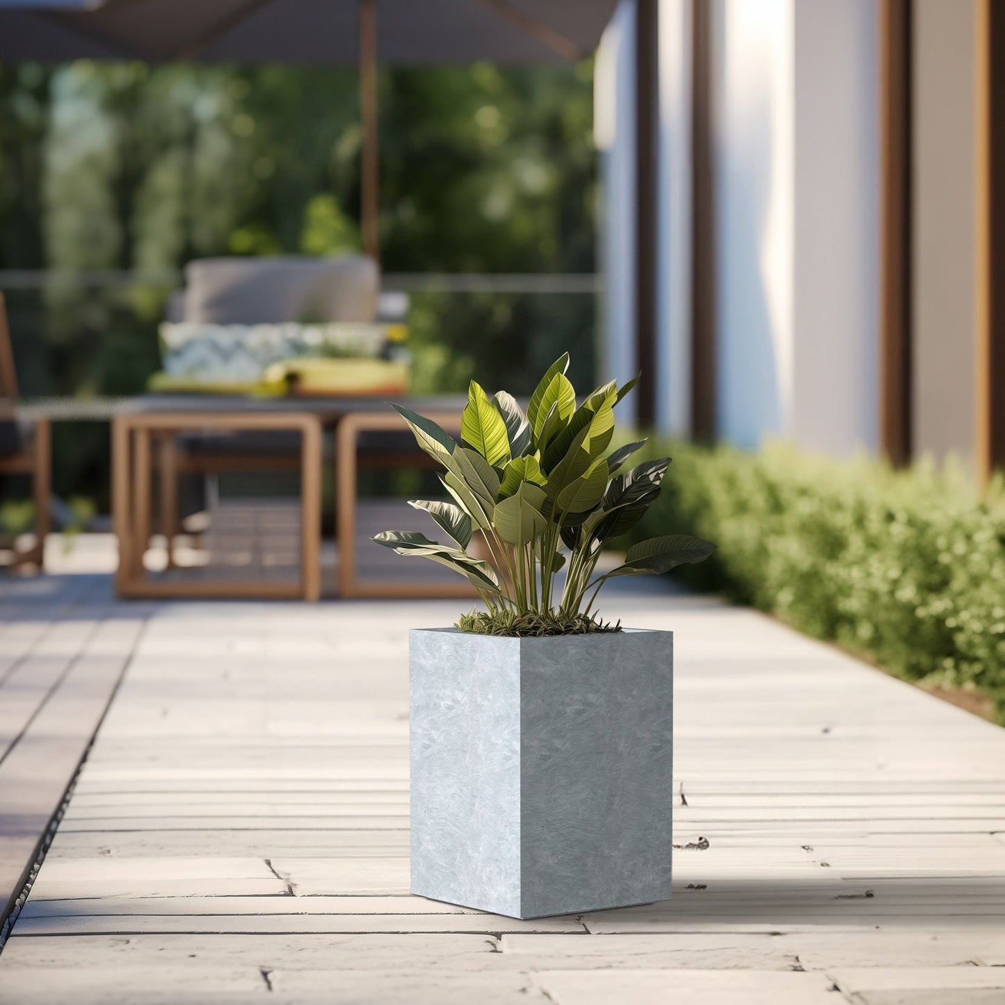 Hohe rechteckige Pflanzkästen aus Beton / Große Blumenkübel für drinnen und draußen