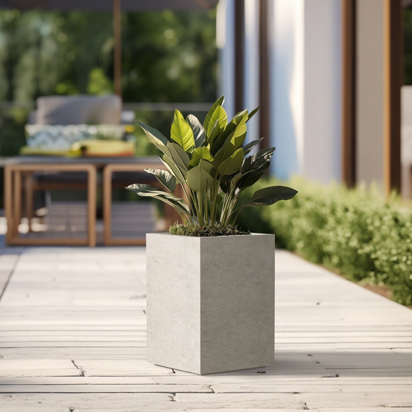 Hohe rechteckige Pflanzkästen aus Beton / Große Blumenkübel für drinnen und draußen