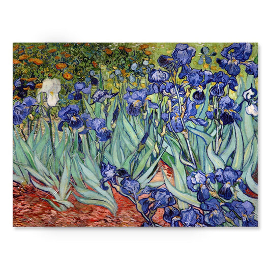 Leinwandbild „Iries“ von Vincent van Gogh