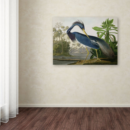 The Curated Nomad John James Audubon Leinwandbild „Louisiana Heron“