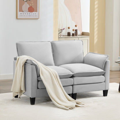Luxury 2-Seat Sofa â?Cloud-Like Comfort, Sturdy Design â?For Living Rooms & Offices
