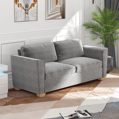 Mixoy Modern Pull Out Sofa Bed,Velvet Sleeper Loveseat Couch Bed