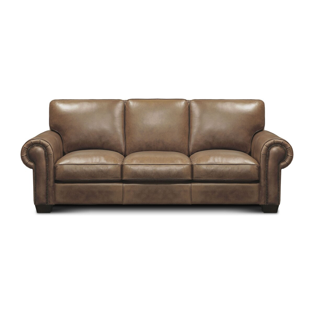 Valencia Top Grain Hand Antiqued Leather Traditional Sofa